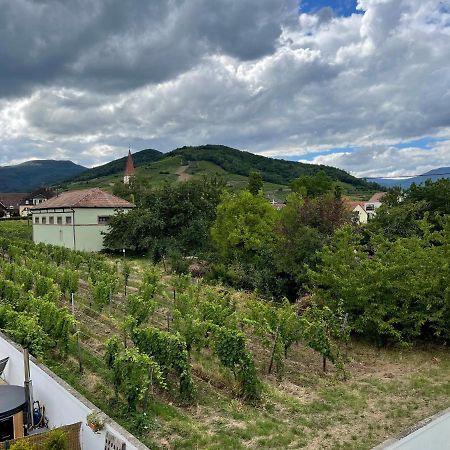 Alsacebnb - Gite 12 Personnes Dans Le Vignoble - Piscine Privee & Spa Аммершвір Екстер'єр фото