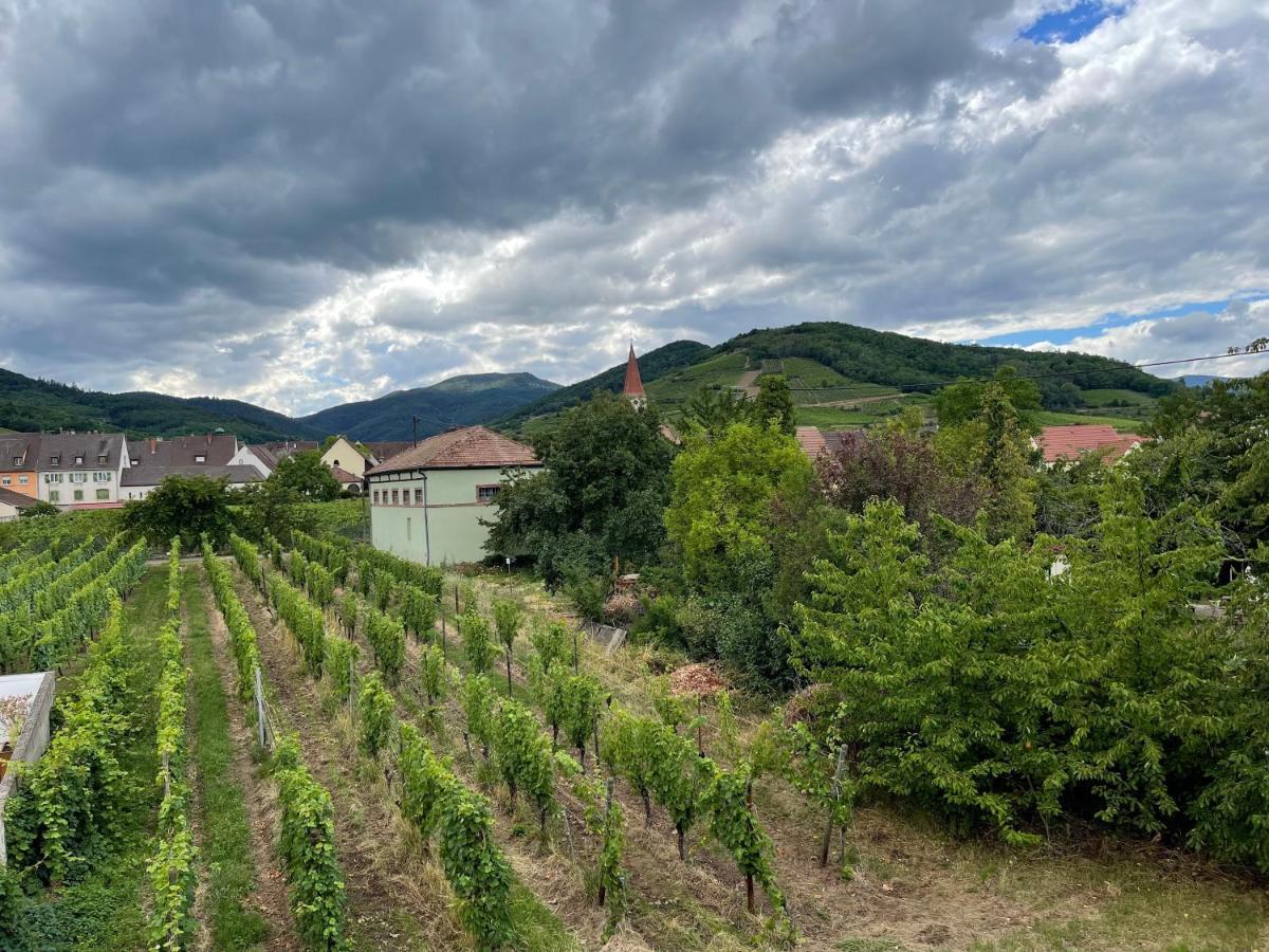 Alsacebnb - Gite 12 Personnes Dans Le Vignoble - Piscine Privee & Spa Аммершвір Екстер'єр фото