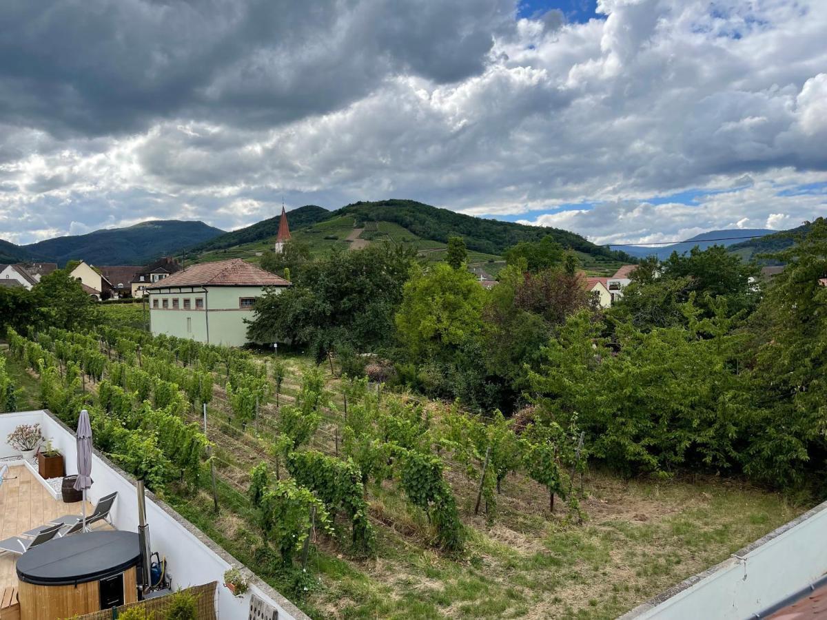 Alsacebnb - Gite 12 Personnes Dans Le Vignoble - Piscine Privee & Spa Аммершвір Екстер'єр фото