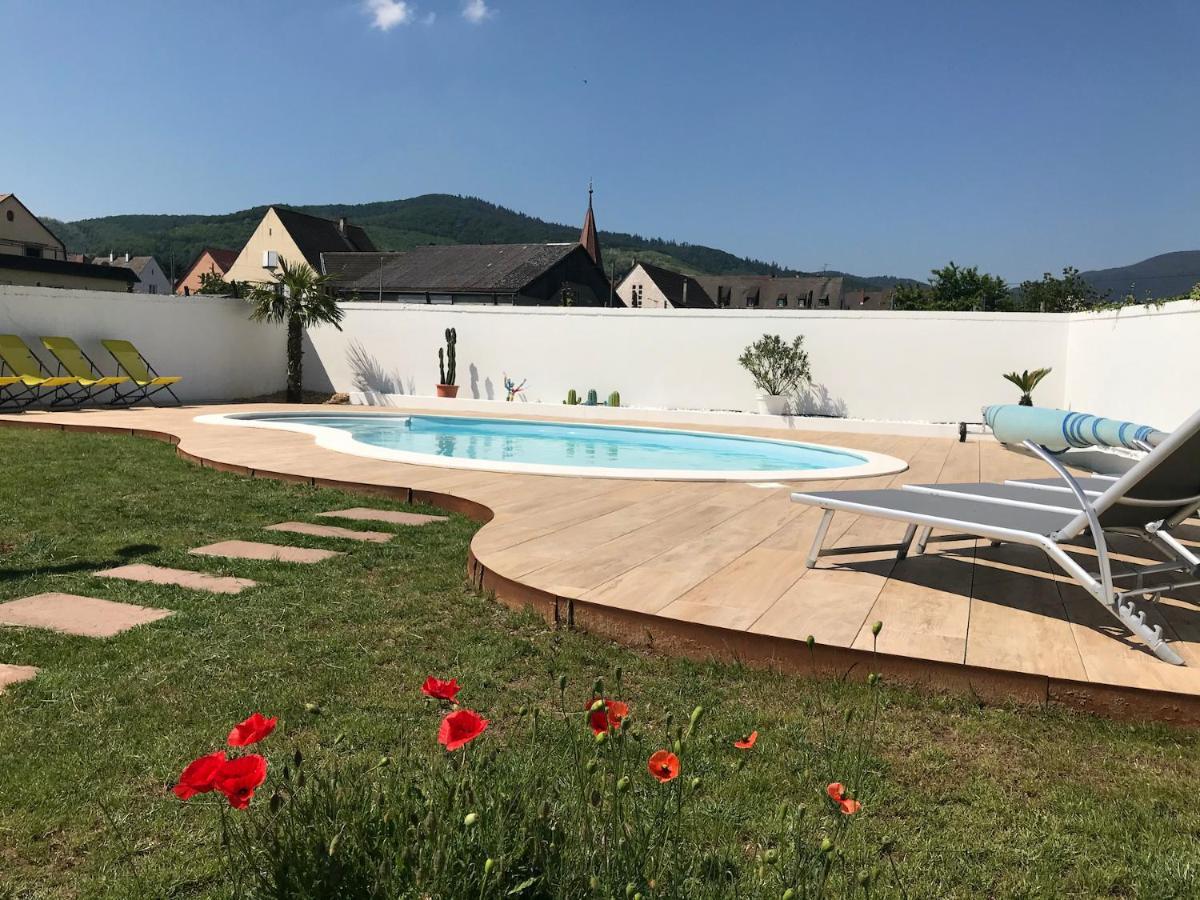 Alsacebnb - Gite 12 Personnes Dans Le Vignoble - Piscine Privee & Spa Аммершвір Екстер'єр фото